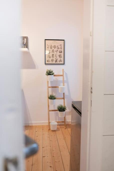 Stadtoase Design Wohnung In Der Altstadt Von Koblenz Coblence Extérieur photo